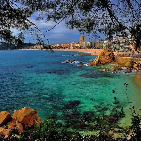 Estudio Carbonell Beach- Terrace * Λορέτ Ντε Μαρ